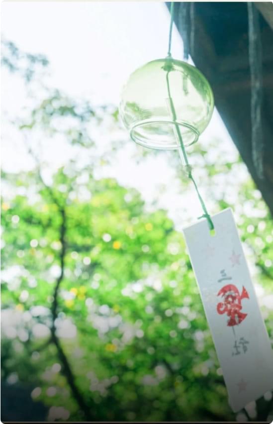 A summer scene in Yanagawa City. The lush greenery and clear waterways create a refreshing atmosphere, and tourists can be seen enjoying a river cruise.