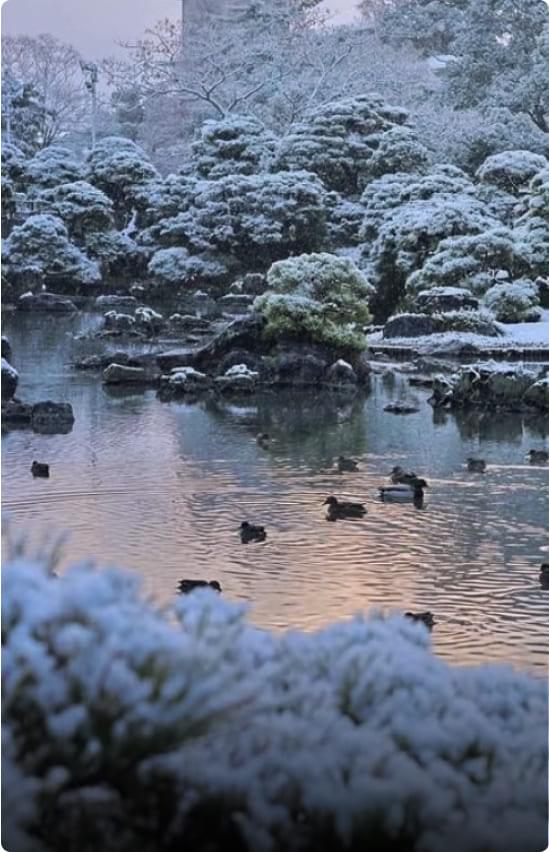 Winter scenery in Yanagawa City. Boats sailing through the snowy landscape and the charming townscape that can only be seen in winter are distinctive features.