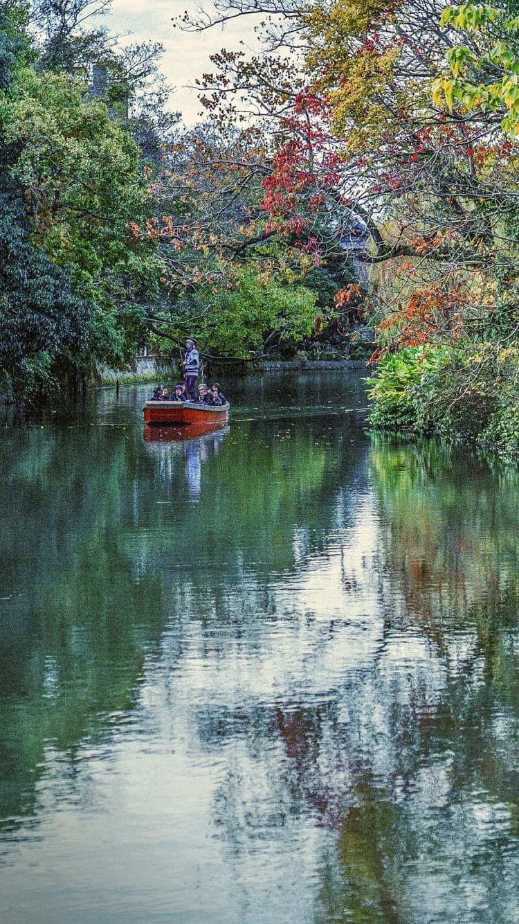 緑豊かな木々に囲まれた柳川の堀割。赤い観光船が静かな水面を進む風景。