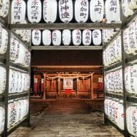 伝統的な日本の寺院の入り口。白い提灯が整然と並び、漢字で書かれた文字が見える。奥には朱色の社殿が見えます。